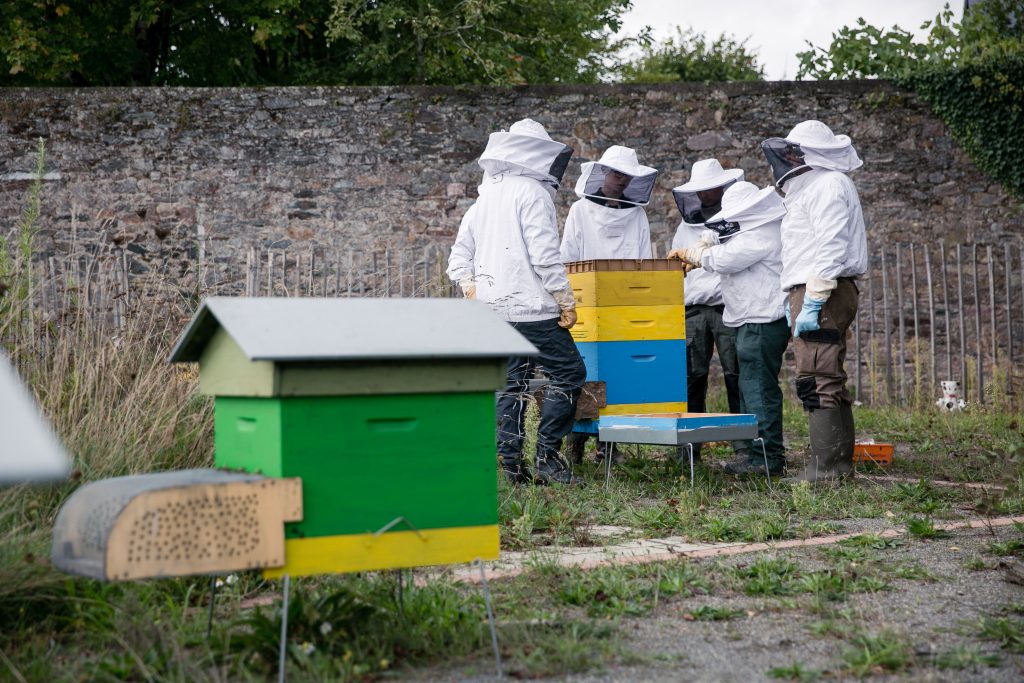 agricole Élèves du Bac Pro en activité pratique sur les ruches du lycée ISSAT Redon