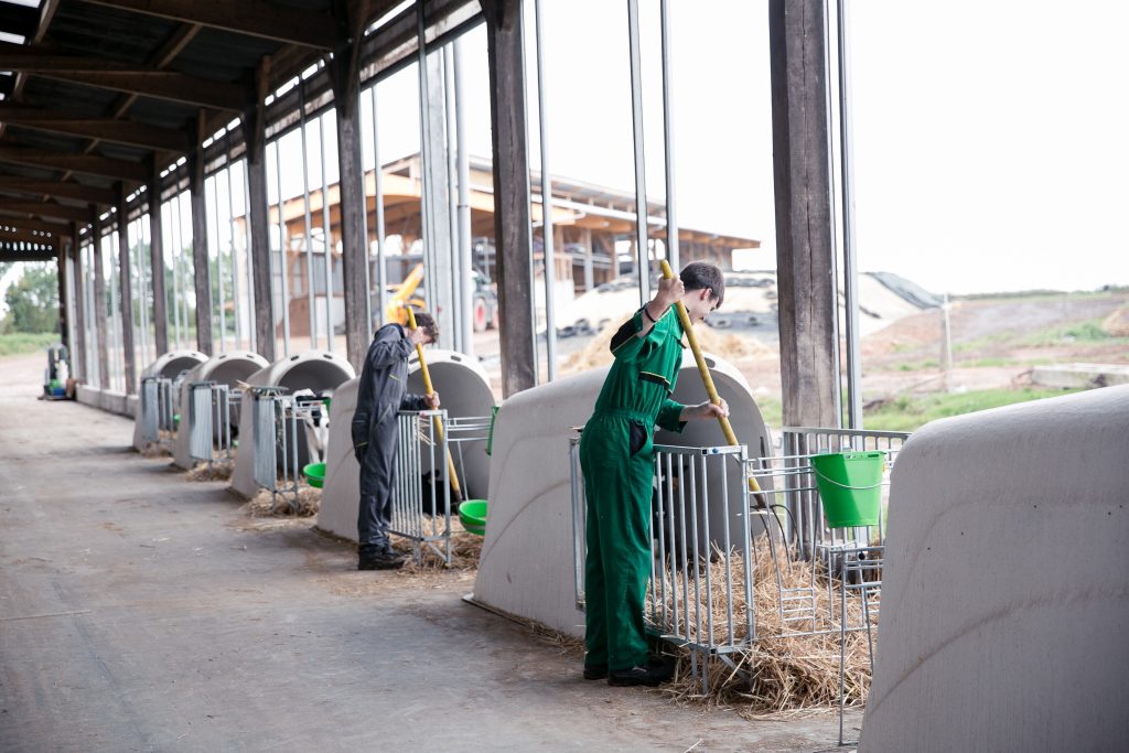 issat-productions-animales