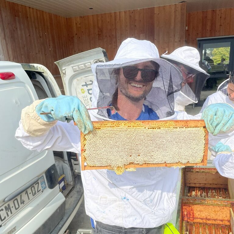 apiculture issat redon