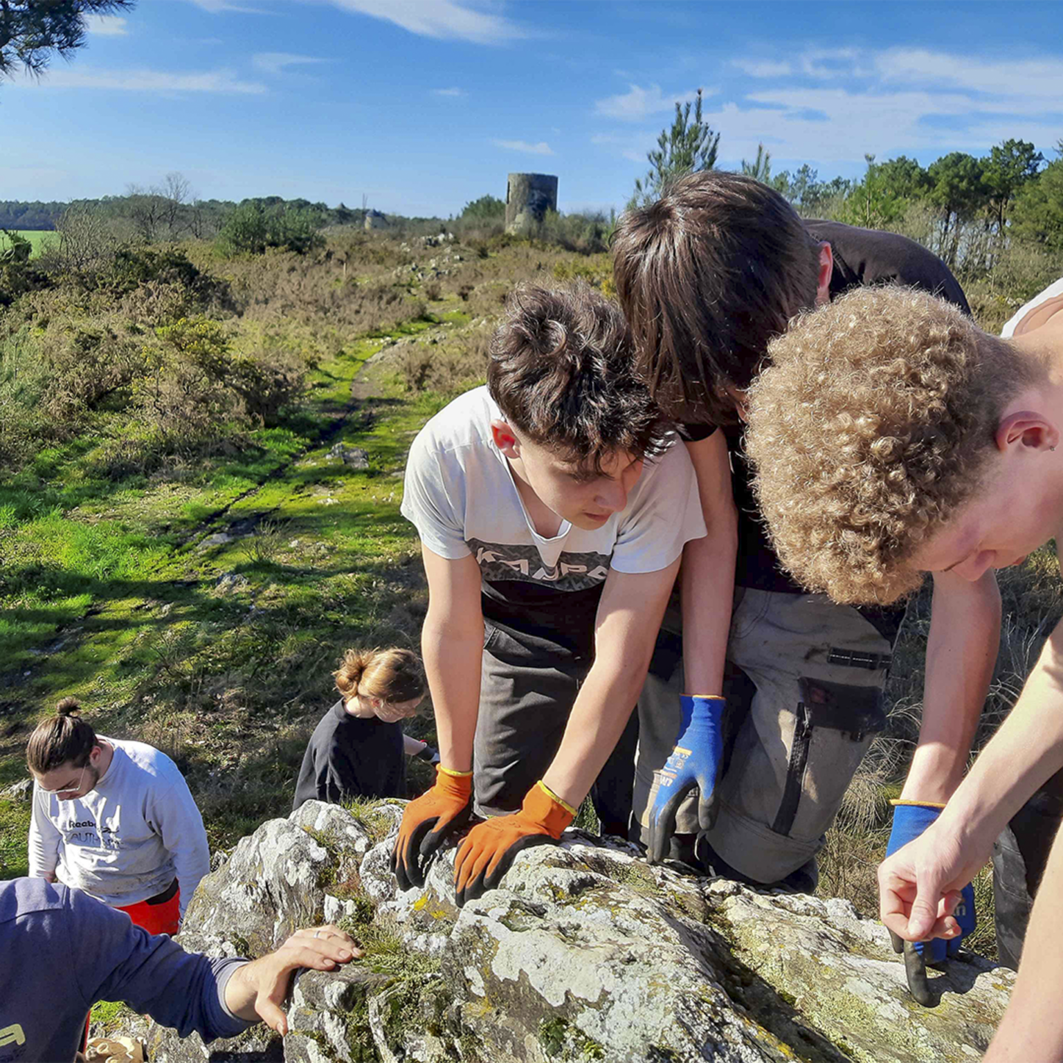 bac pro lande bretonne