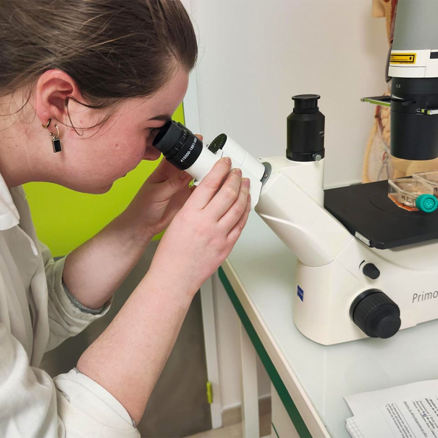 Étudiants BTS ANABIOTEC ISSAT Redon réalisant une culture cellulaire en laboratoire