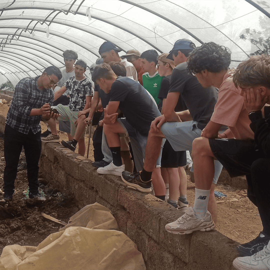 Élèves aménagements paysagers ISSAT Redon visitant une pépinière de palmiers à Marrakech