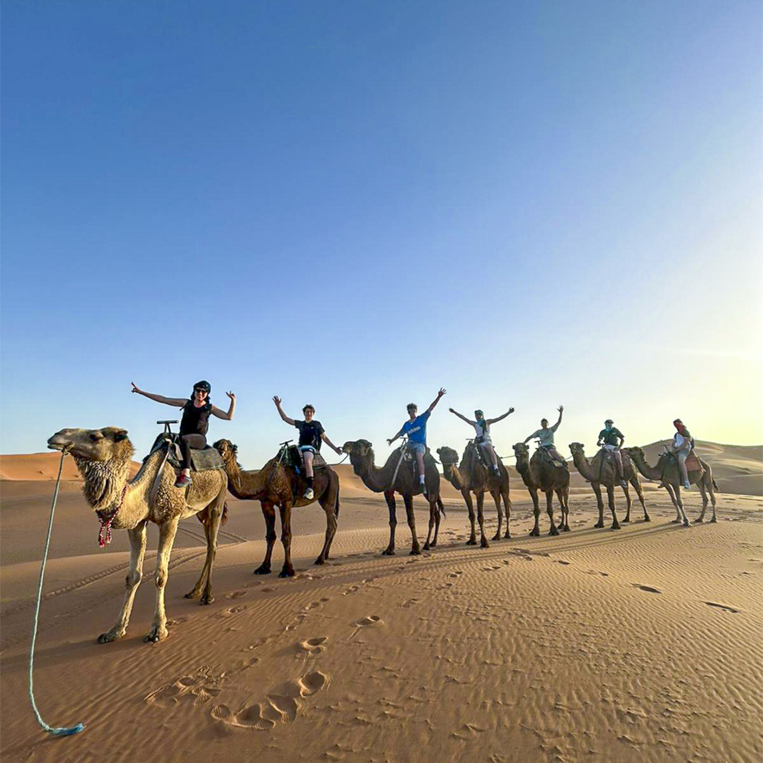 Maroc lycée agricole bretagne