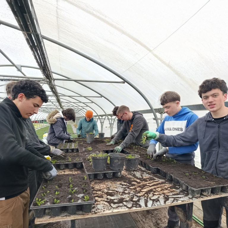 Élèves en aménagements paysagers au jardin botanique Yves Rocher à La Gacilly en Bretagne