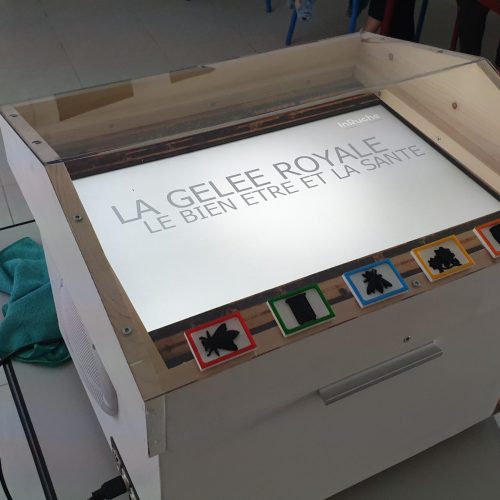 Ensemble de ruches utilisées pour les cours d’apiculture au lycée agricole en Bretagne