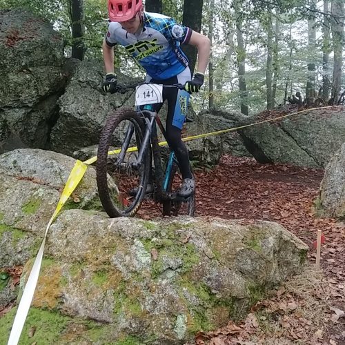 Élèves en sortie VTT en forêt