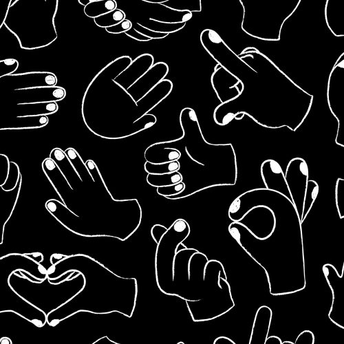 ISSAT option langue des signes Redon