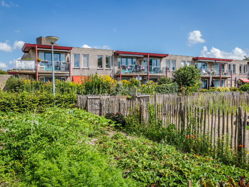 agri urbaine 2