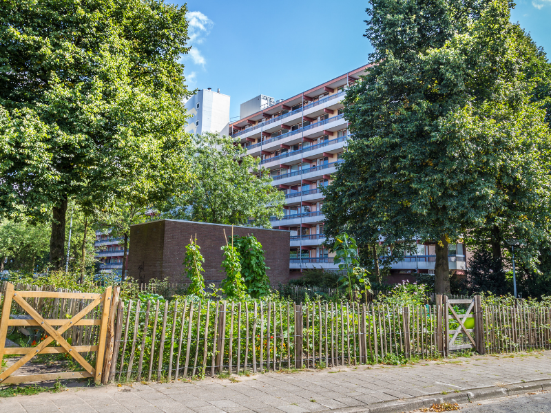 agri urbaine