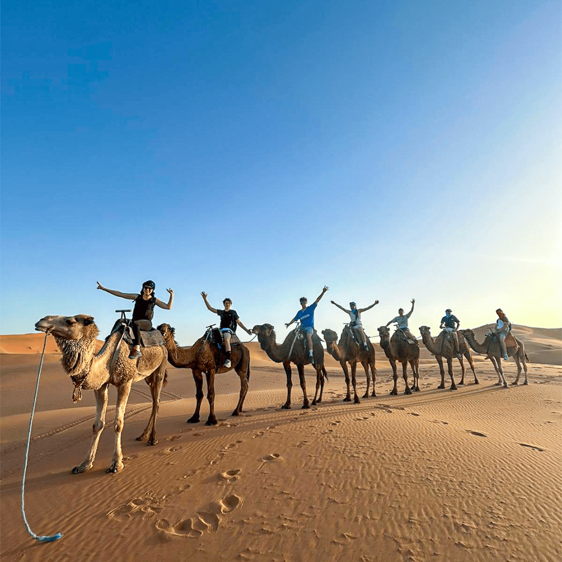 bac pro aménagements paysagers maroc